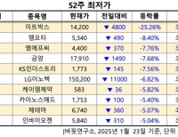 기사이미지